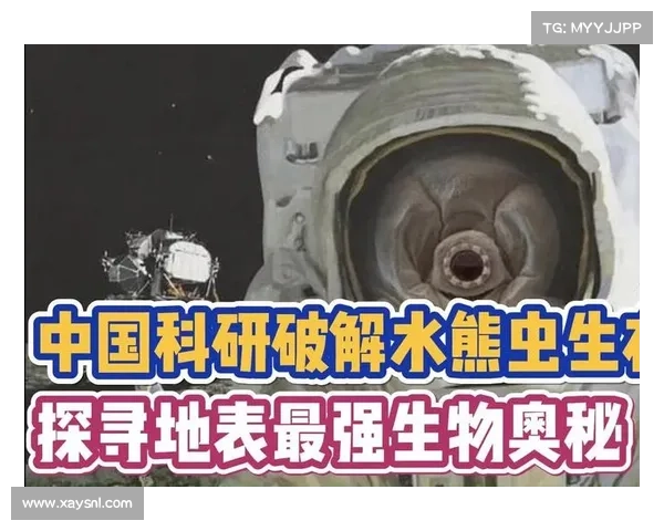 解锁地表最强奥秘:史上最全指南 解锁地表最强奥秘:史上最全指南
