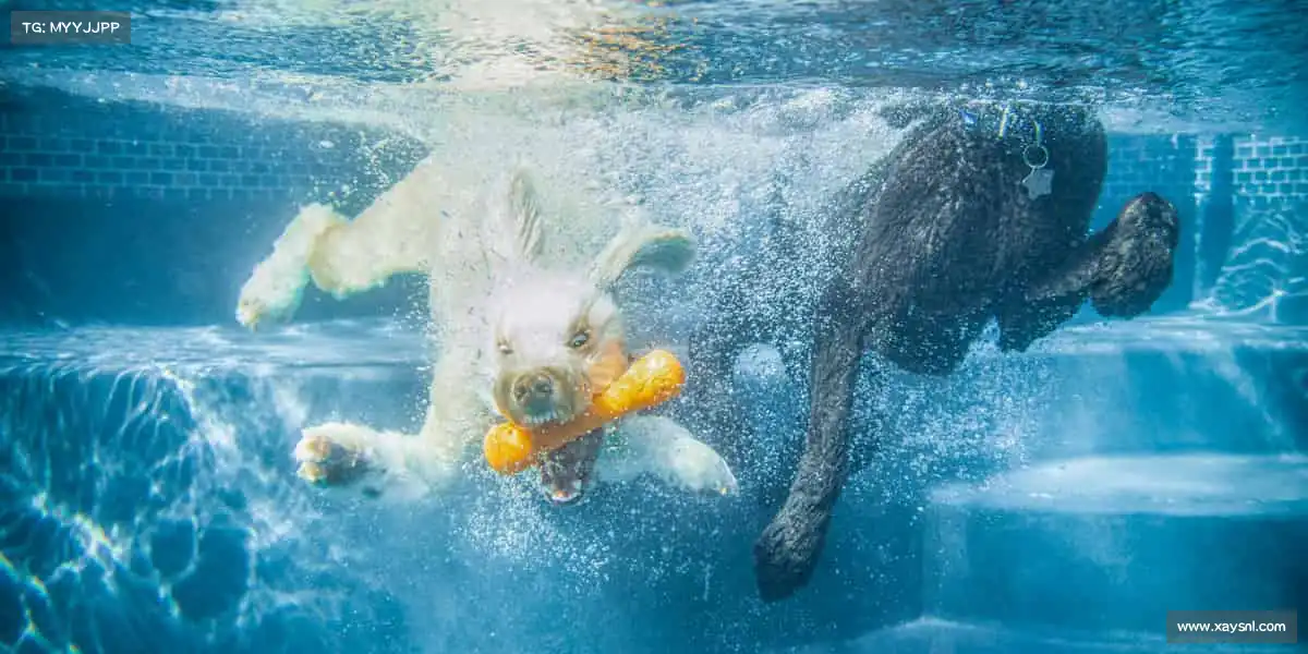 j9九游会官方登录——🎾挥拍瞬间，闪耀全场！